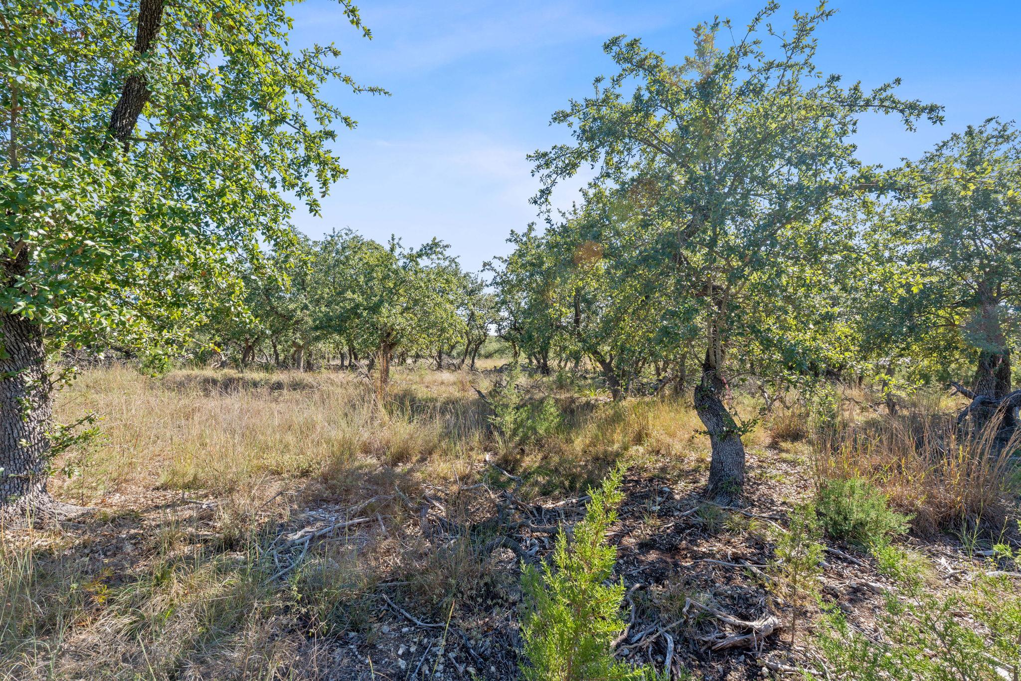 3981 & 3983 E Highway 290 Dripping Springs TX 78620