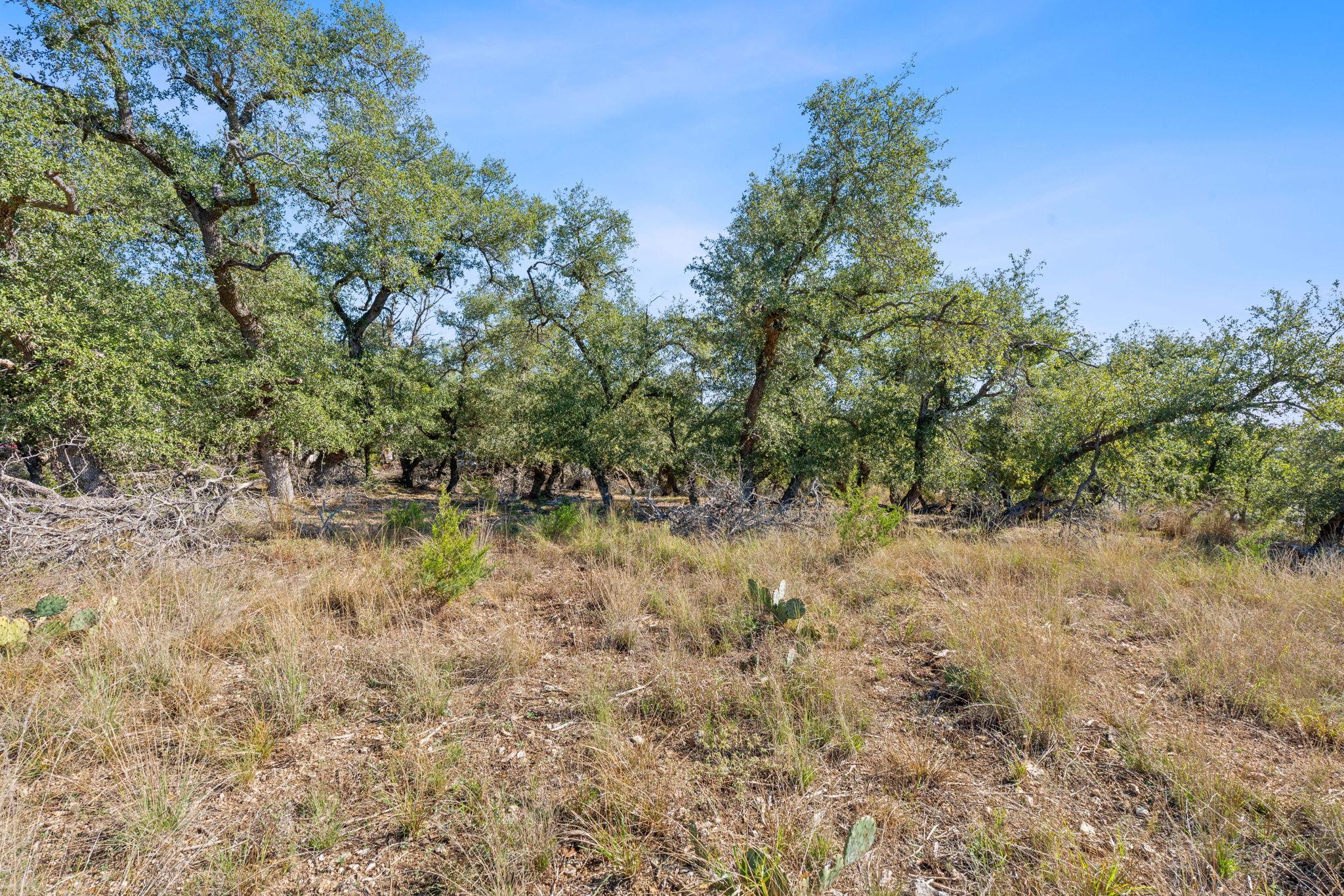 3981 & 3983 E Highway 290 Dripping Springs TX 78620