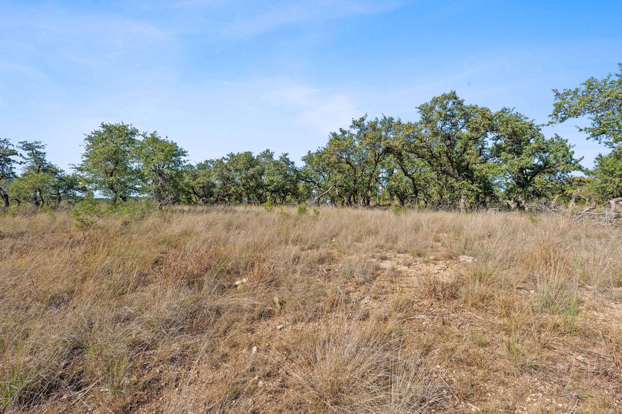 3981 & 3983 E Highway 290 Dripping Springs TX 78620