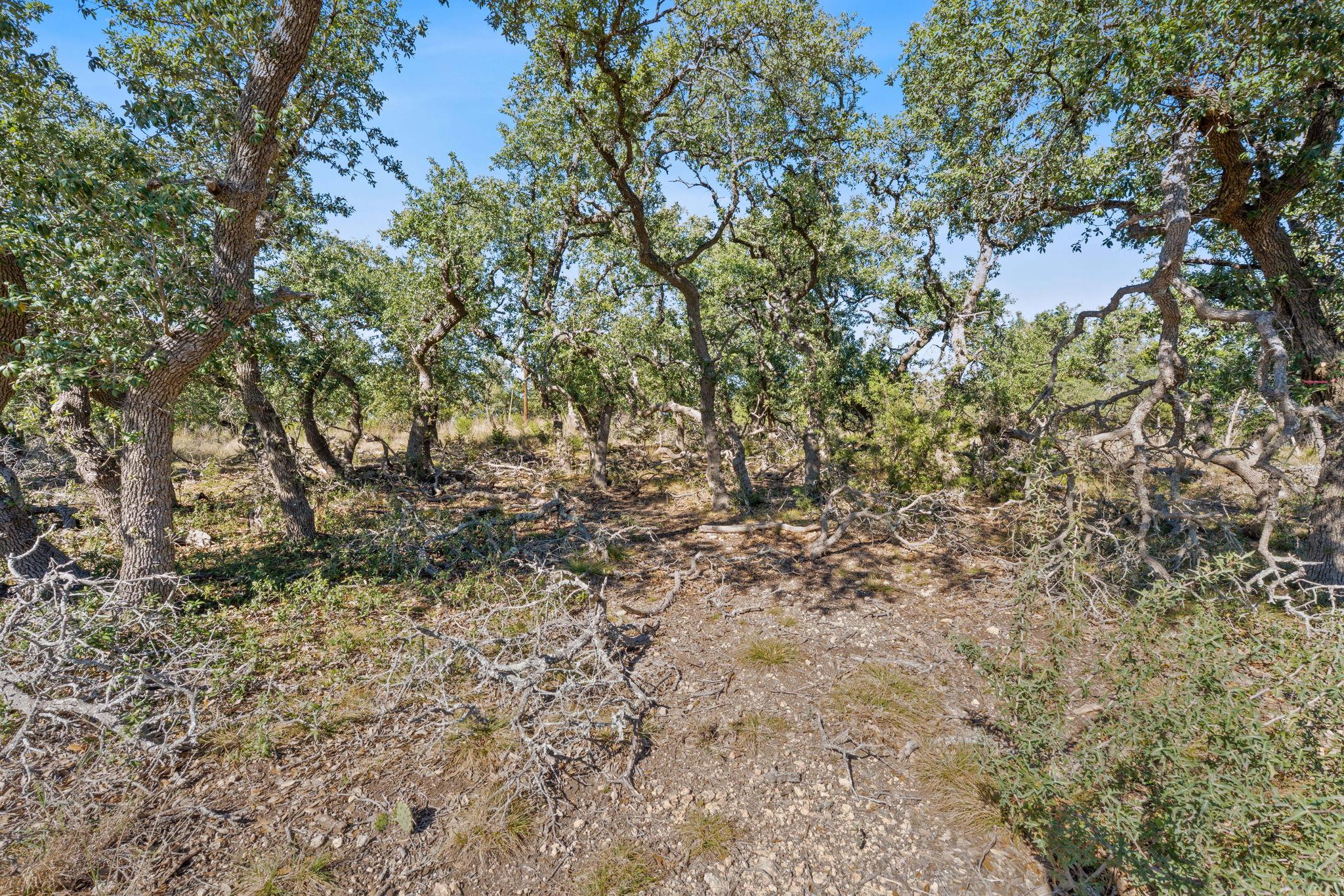 3981 & 3983 E Highway 290 Dripping Springs TX 78620