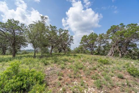 19705 Tyler Trail Jonestown TX 78645