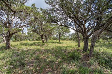 19705 Tyler Trail Jonestown TX 78645