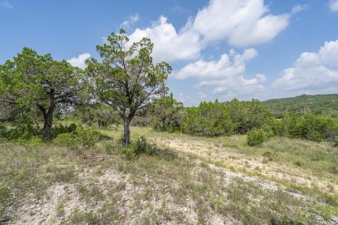 19705 Tyler Trail Jonestown TX 78645