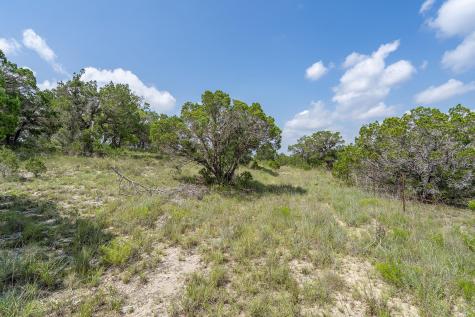 19705 Tyler Trail Jonestown TX 78645