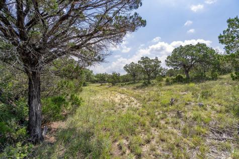 19705 Tyler Trail Jonestown TX 78645