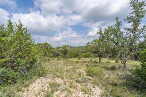 19705 Tyler Trail Jonestown TX 78645