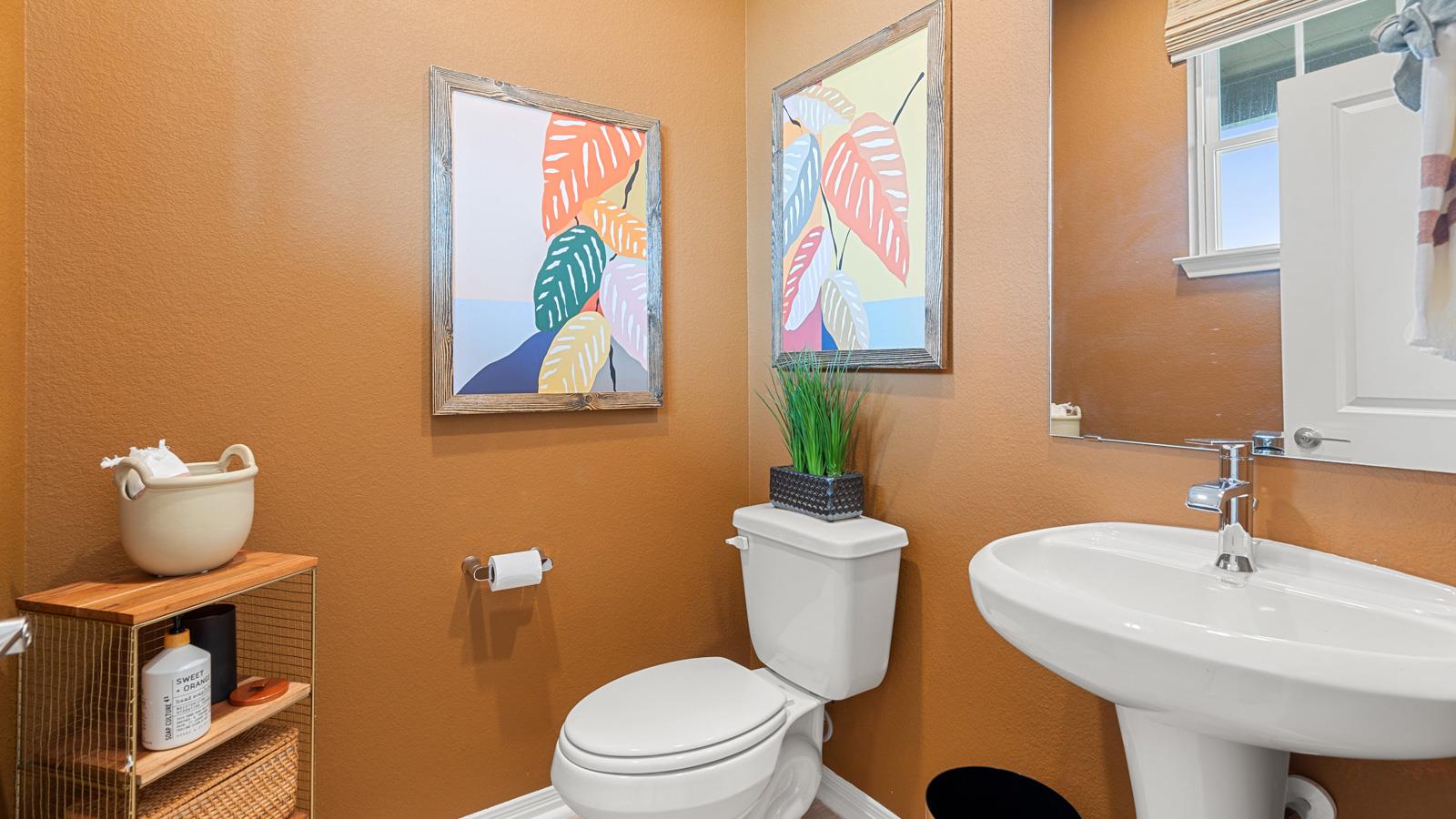 2518 Violet Theo Lane Round Rock TX 78665