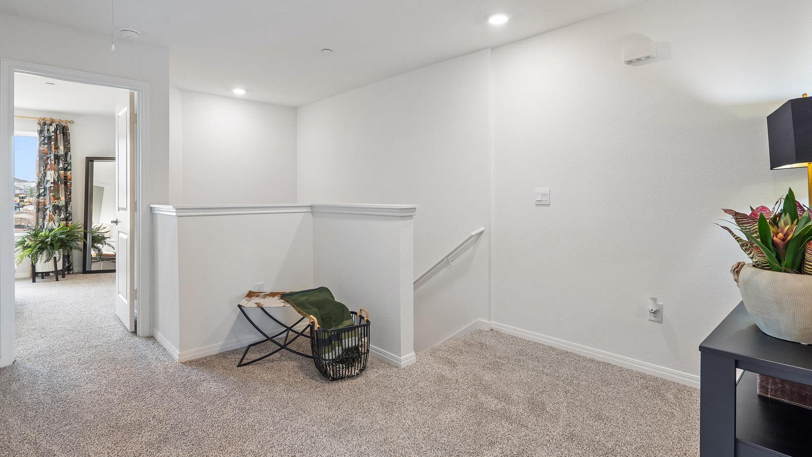 2518 Violet Theo Lane Round Rock TX 78665