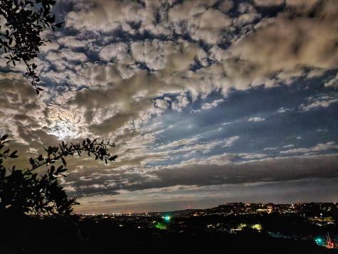 5603 Oakwood Cove Austin TX 78731