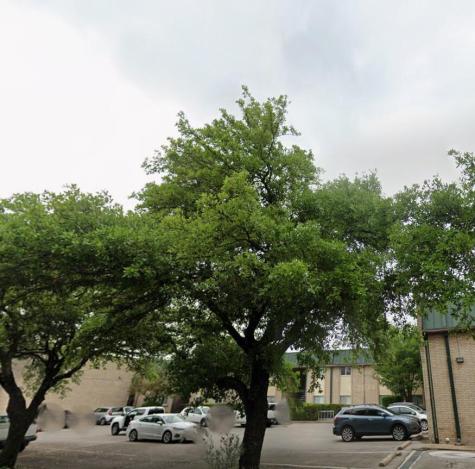 2600 Penny Lane Austin TX 78757