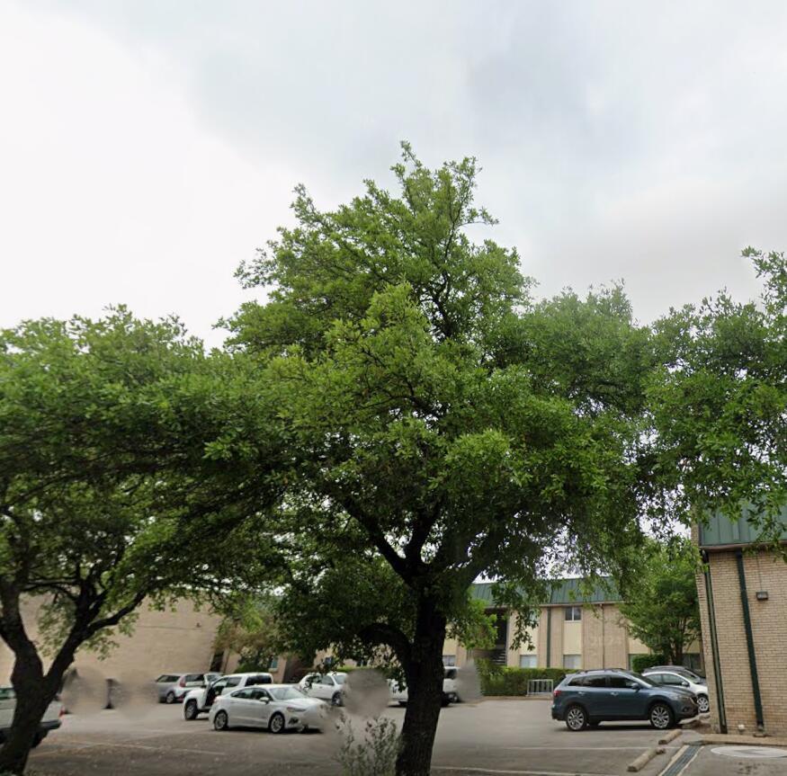 Austin TX, 2600 Penny Lane, Unit 207