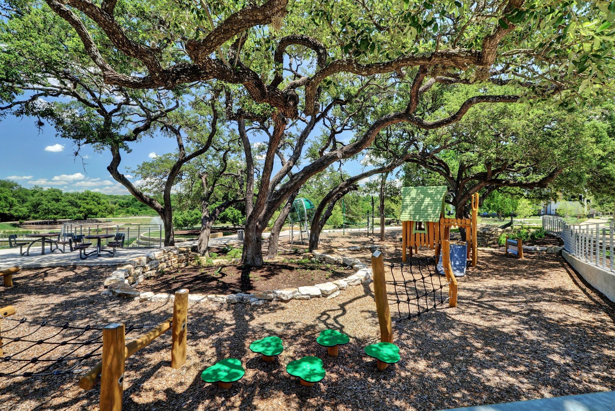 3905 Emory Peak Pass Austin TX 78731