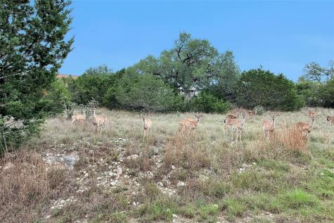 1226 Cougar Drive Canyon Lake TX 78133