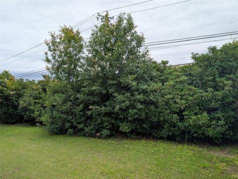 2471 Sunrise Road Round Rock TX 78664