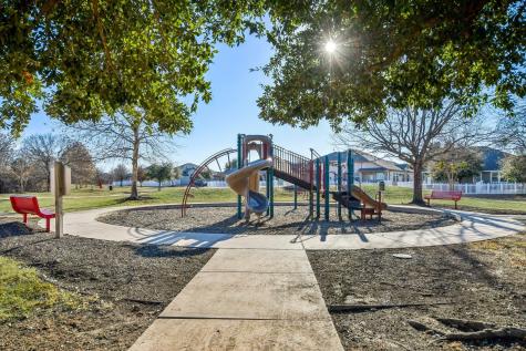 616 Lookout Tree Lane Round Rock TX 78664