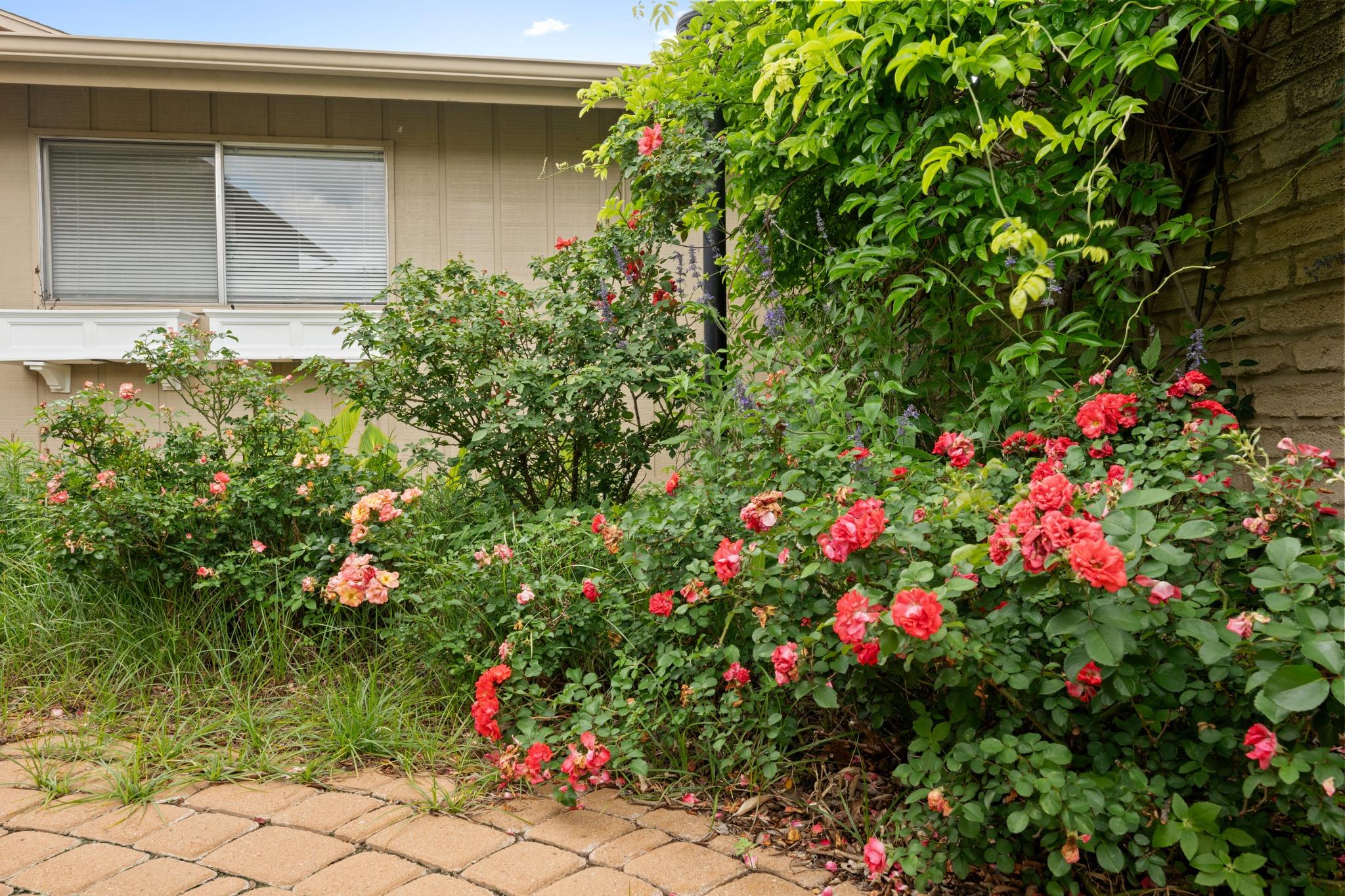 8107 Middle Court Austin TX 78759