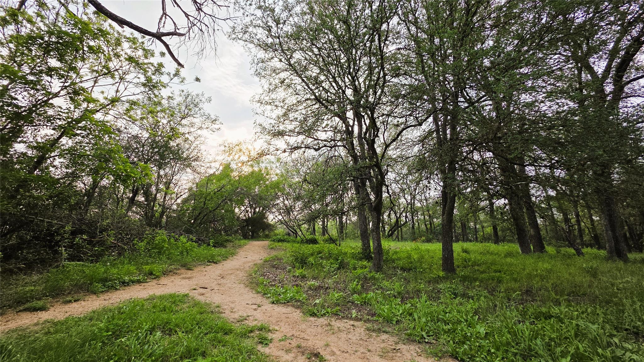 6810 Deatonhill Drive Austin TX 78745