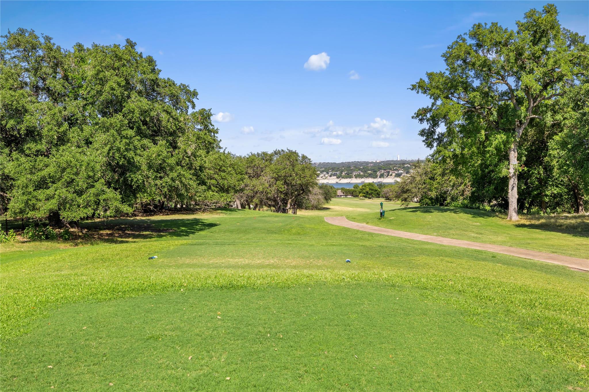 1101 Ivean Pearson Road Lago Vista TX 78645