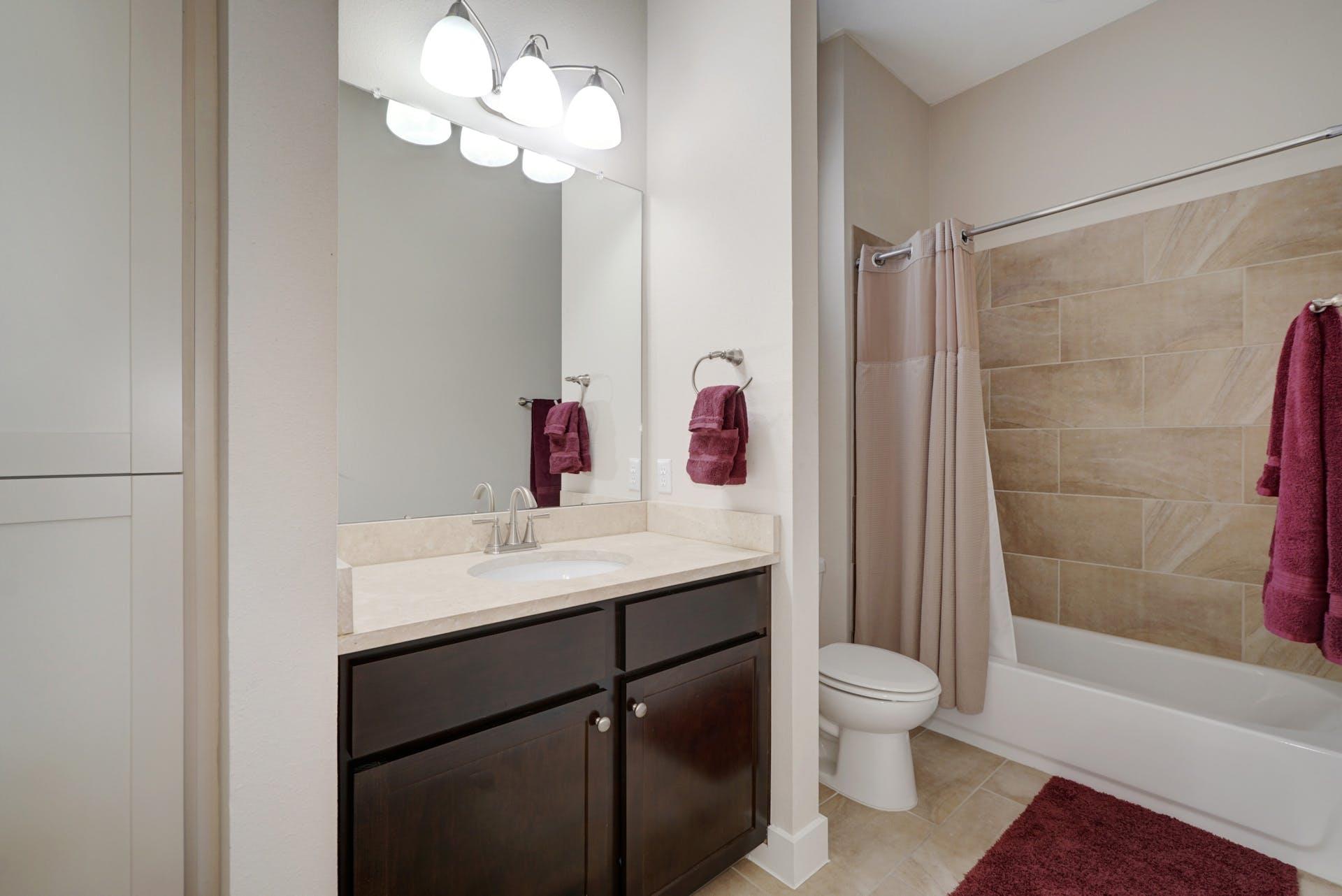 2520 Bluebonnet Lane Austin TX 78704