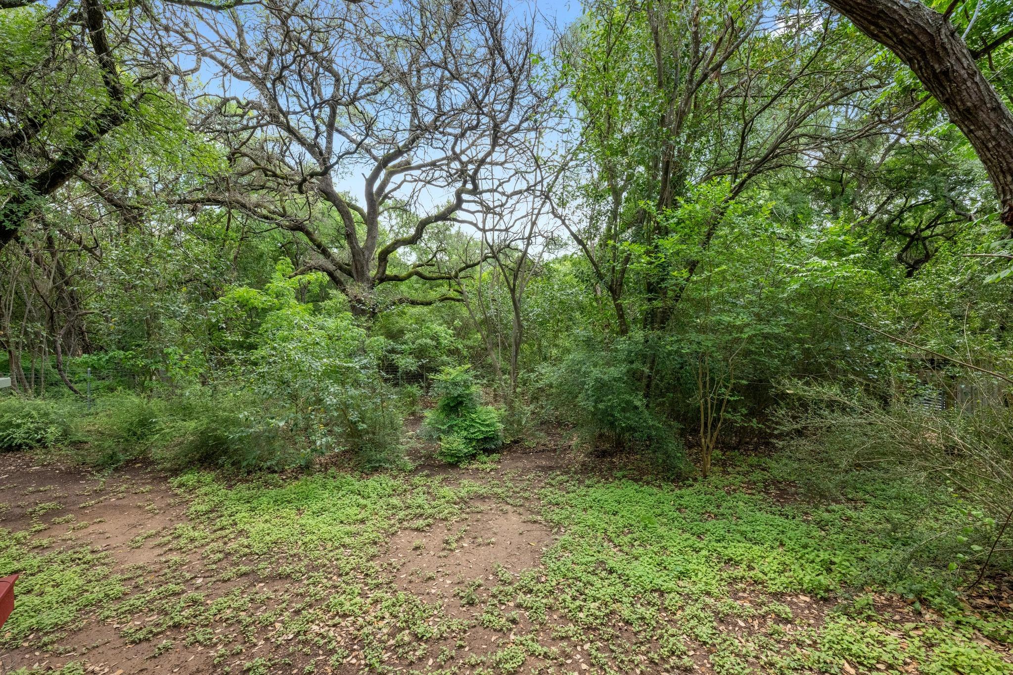 1511 Terrapin Court Austin TX 78746