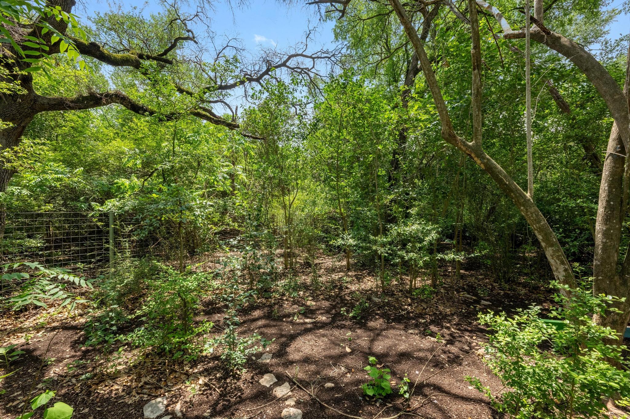 1511 Terrapin Court Austin TX 78746