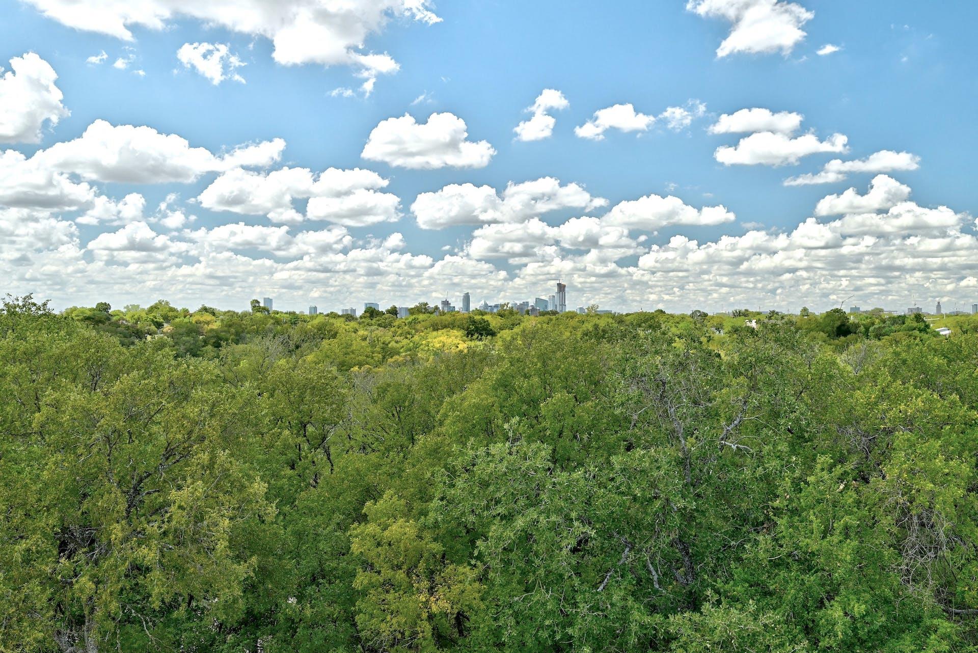 3406 E 17th Street Austin TX 78721