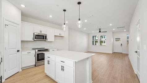 2523 Violet Theo Lane Round Rock TX 78665
