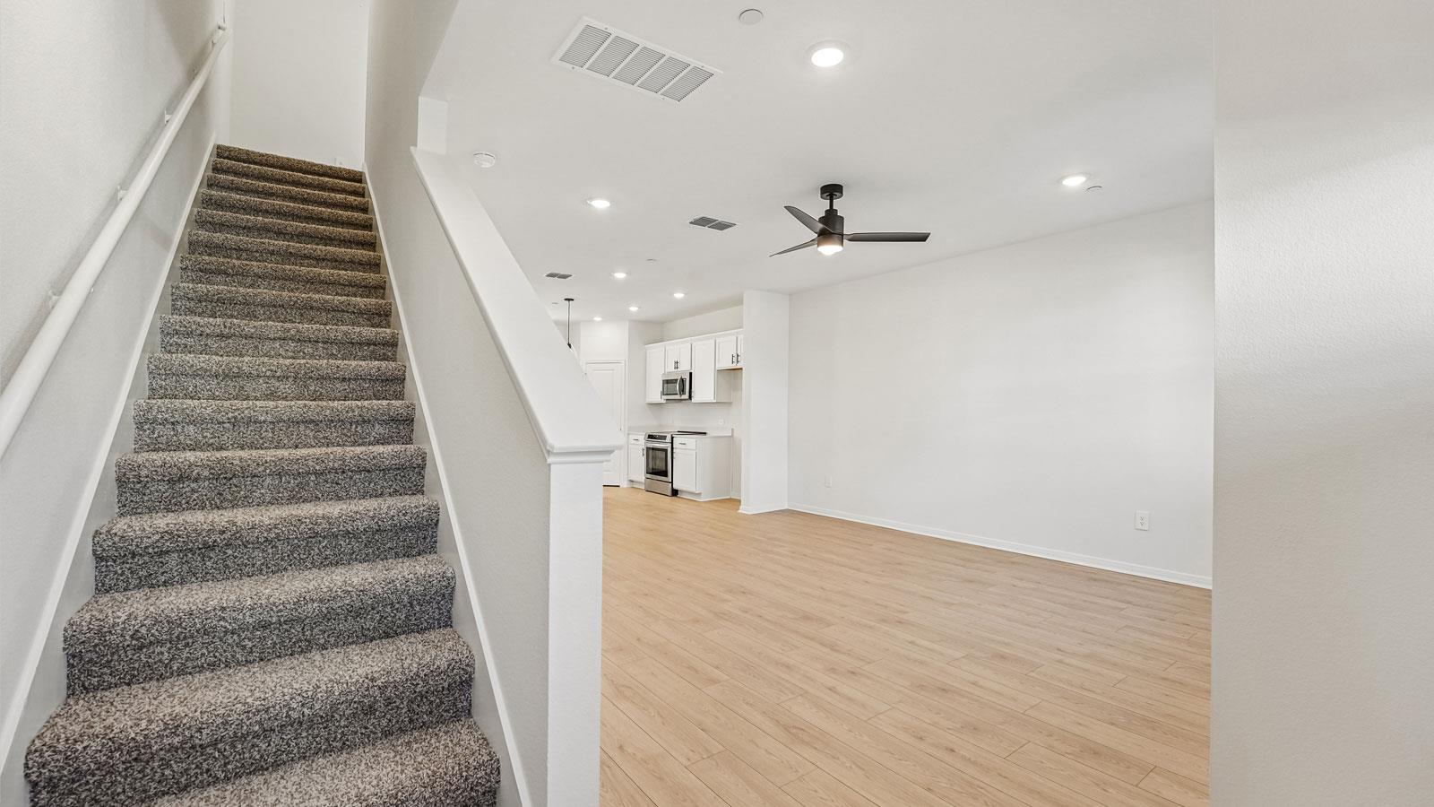 2523 Violet Theo Lane Round Rock TX 78665