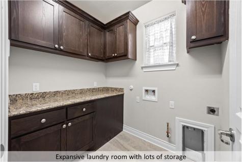 112 Trailing Lantana Drive Georgetown TX 78628