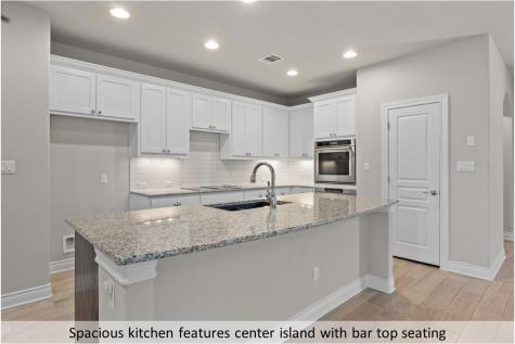 112 Trailing Lantana Drive Georgetown TX 78628