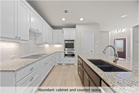 112 Trailing Lantana Drive Georgetown TX 78628