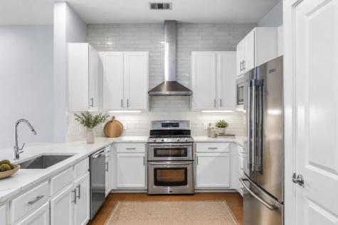 2520 Bluebonnet Lane Austin TX 78704