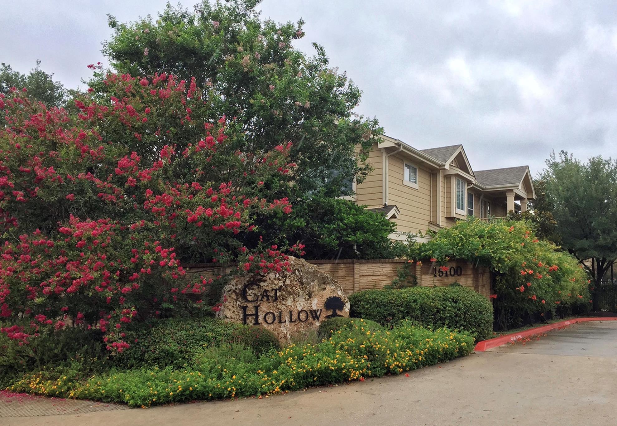 16100 S Great Oaks Drive Round Rock TX 78681