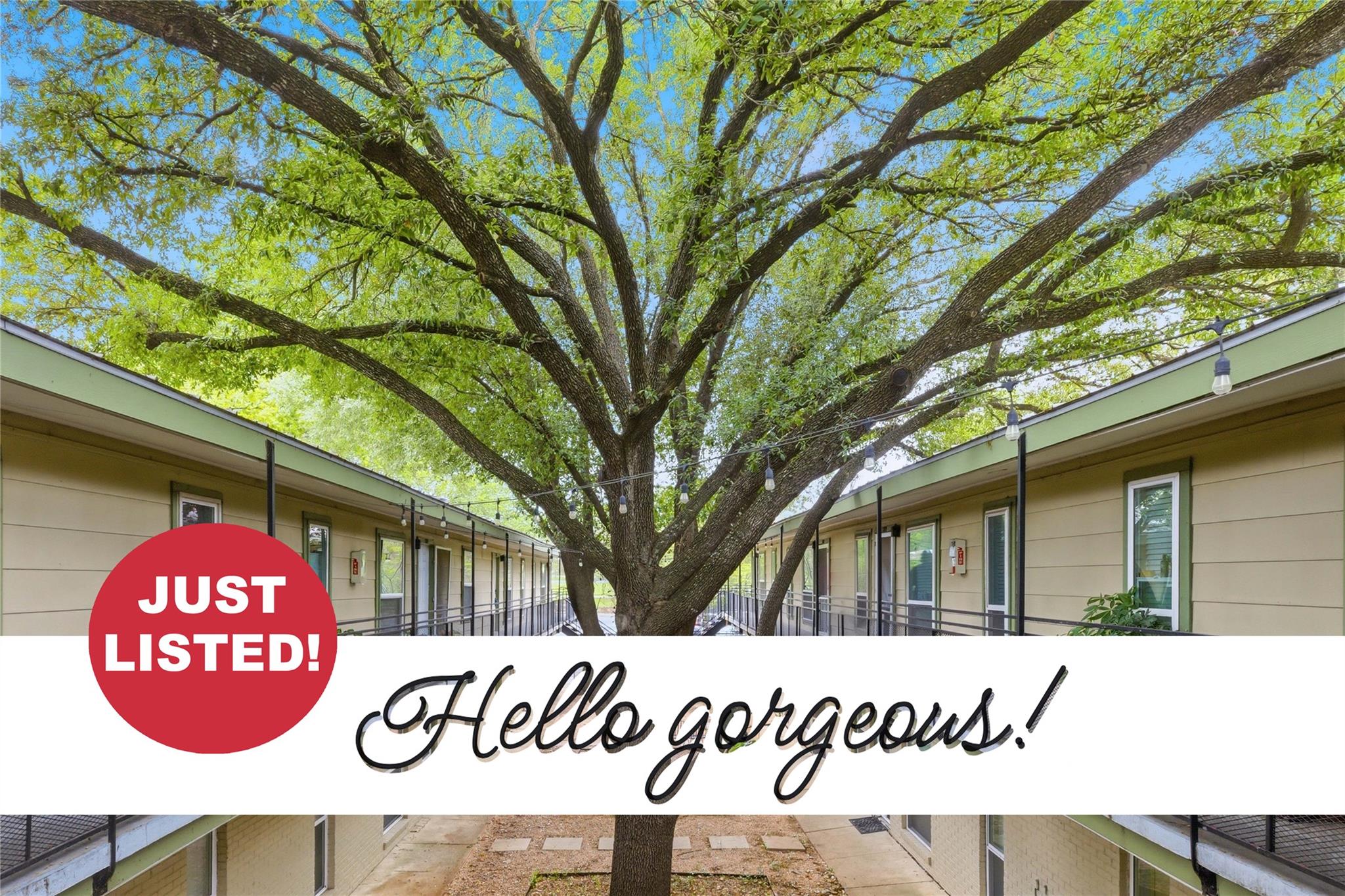 2021 Bluebonnet Lane Austin TX 78704