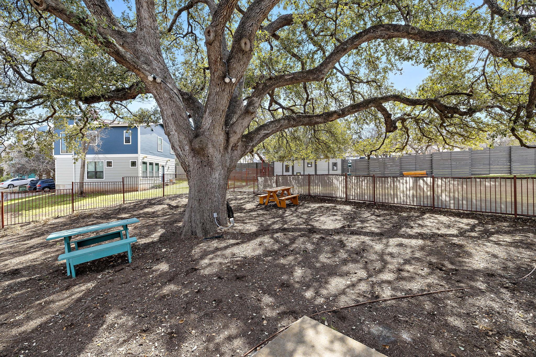 1913 Teagle Drive Austin TX 78741