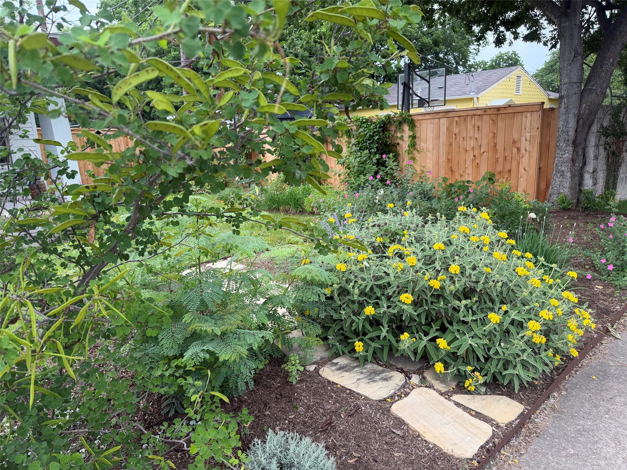 5305 Guadalupe Street Austin TX 78751