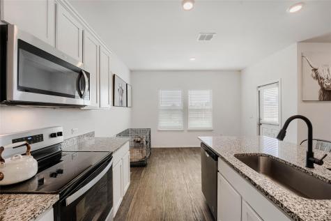 18517 Cremello Drive Manor TX 78653