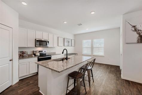 18517 Cremello Drive Manor TX 78653
