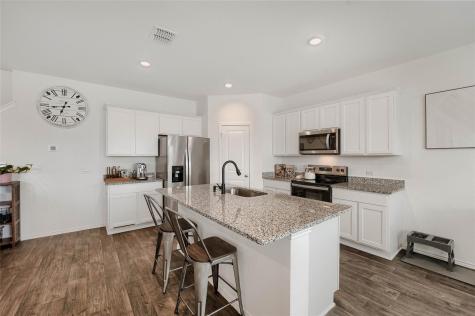 18517 Cremello Drive Manor TX 78653