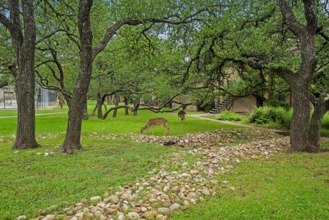 4159 Steck Avenue Austin TX 78759