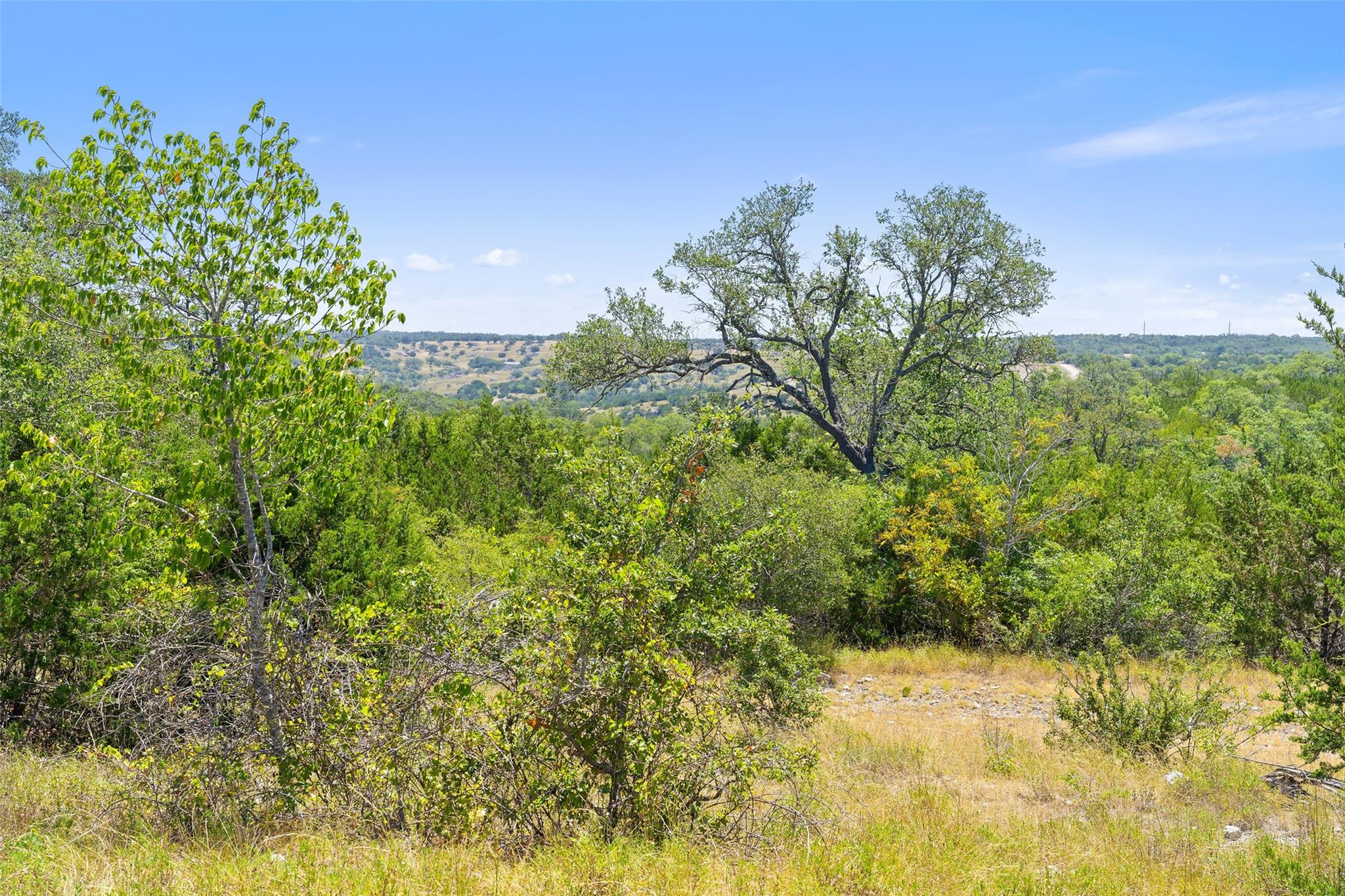 Tract 1 Skyline Drive Blanco TX 78606