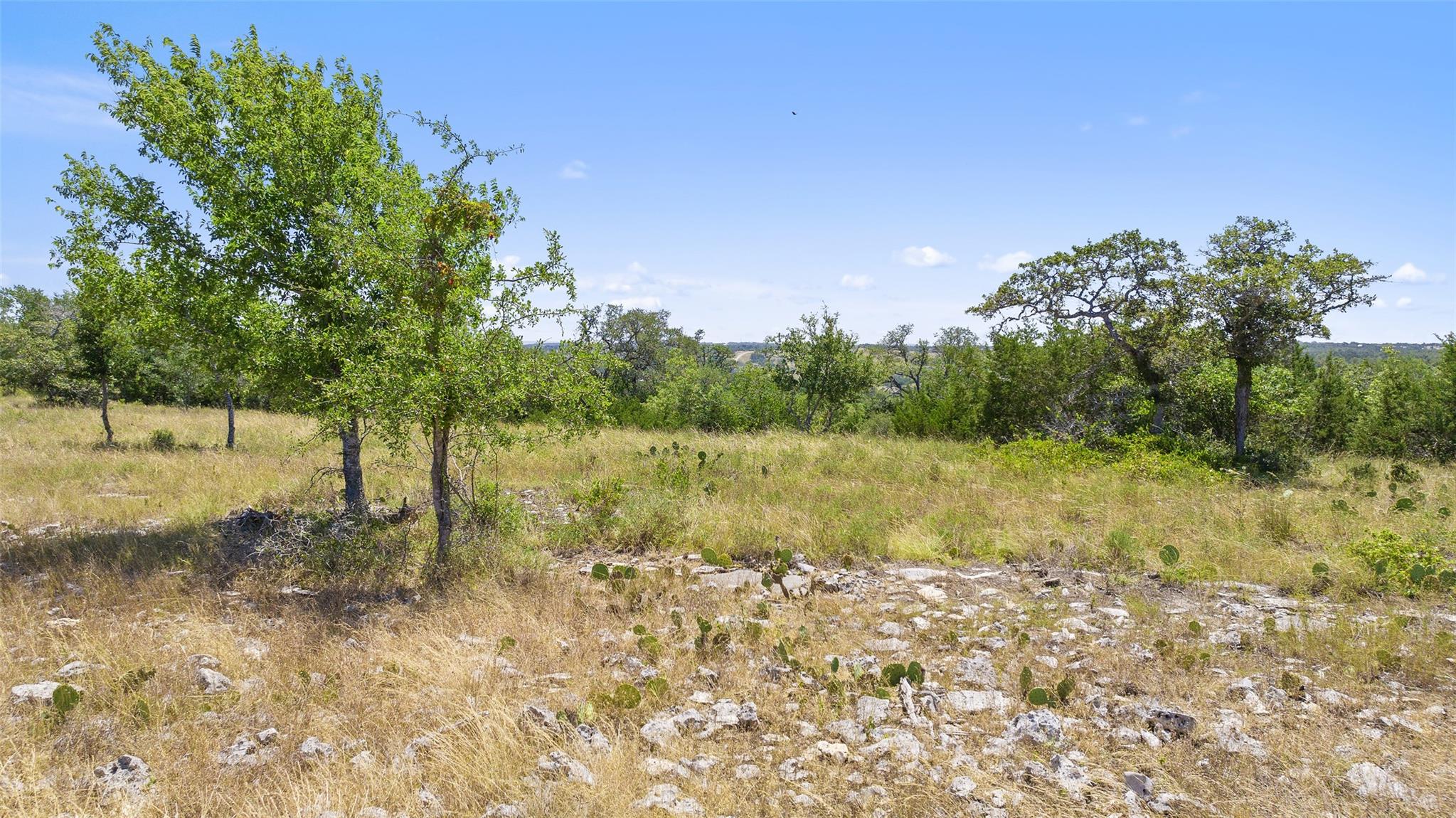 Tract 1 Skyline Drive Blanco TX 78606