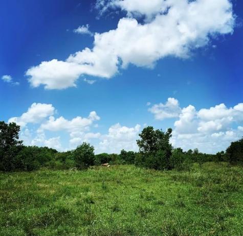 00000 Fm 1462 Road West Columbia TX 77430