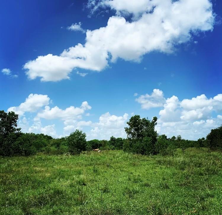 00000 Fm 1462 Road West Columbia TX 77430