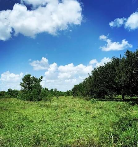 00000 Fm 1462 Road West Columbia TX 77430