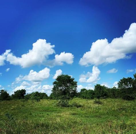 00000 Fm 1462 Road West Columbia TX 77430