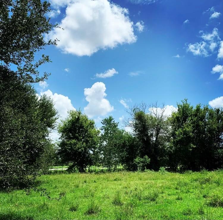 00000 Fm 1462 Road West Columbia TX 77430