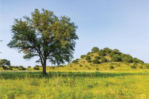 10771 Sh-6 Meridian TX 76665