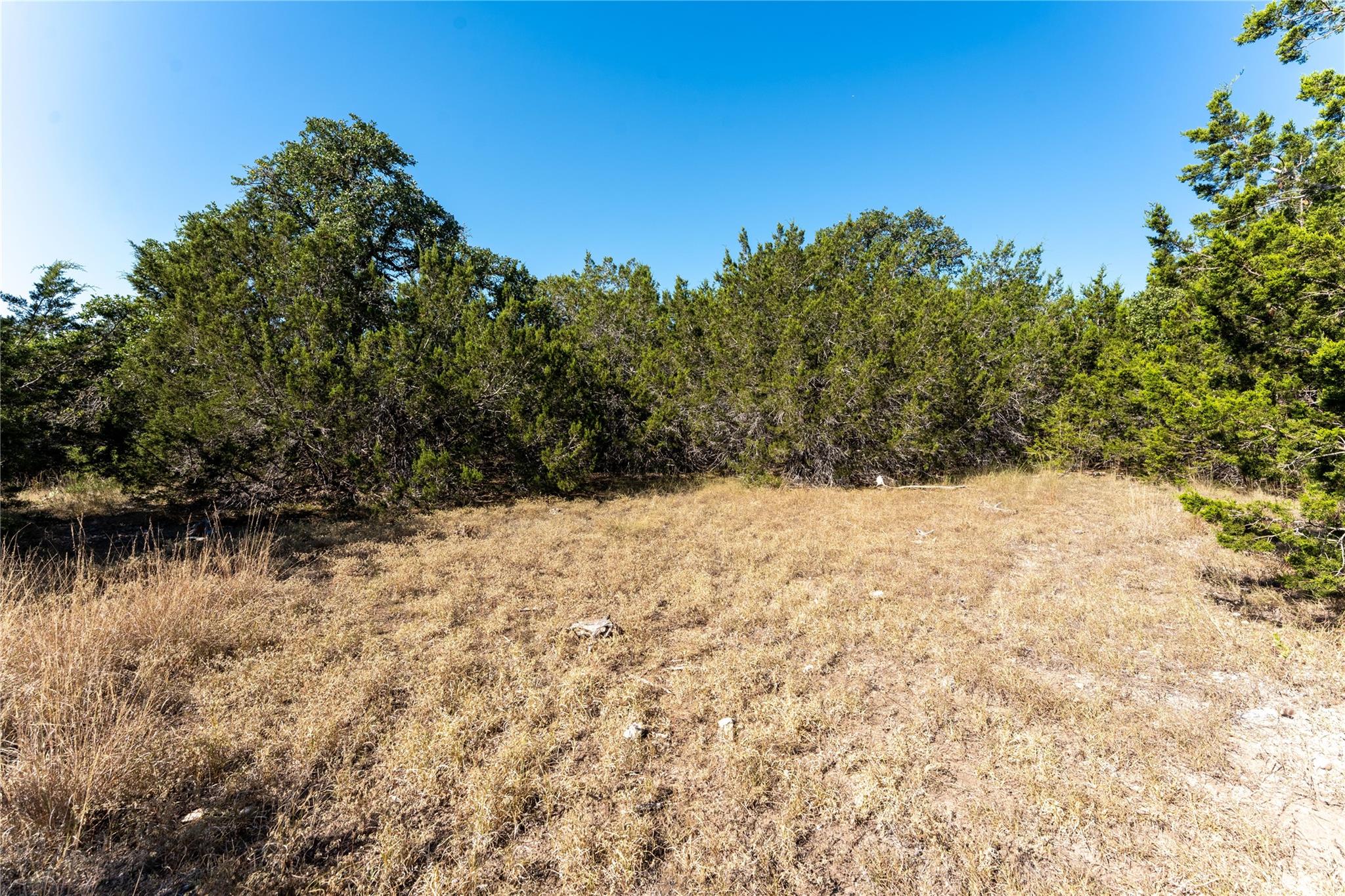 129 Lost Canyon Creek Bertram TX 78605