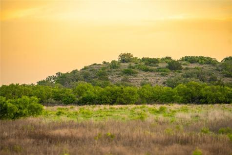 7487 N Us Highway 87 Mason TX 76856